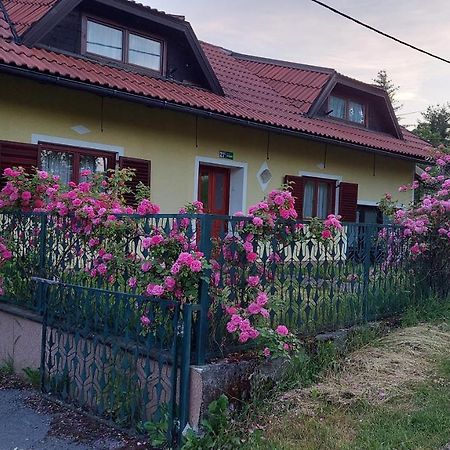 Apartament Kuca Za Odmor ,Erdelj 21 B Generalski Stol Zewnętrze zdjęcie