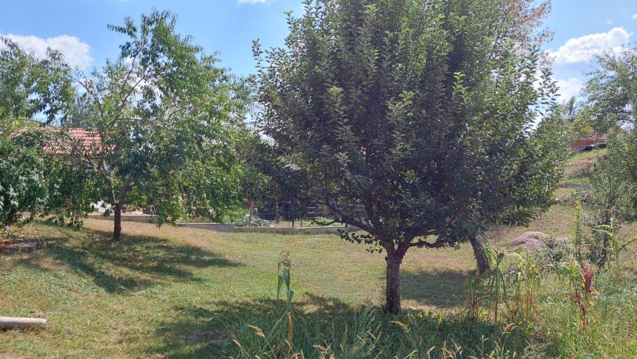 Apartament Kuca Za Odmor ,Erdelj 21 B Generalski Stol Zewnętrze zdjęcie